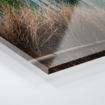 Arashiyama Bamboo Forest Print on Acrylic Glass  by  Jan Becke (36"H x 12"W x 0.25"D)