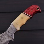 Damascus Hunting Knife //  Smooth Bone & Red/White Pakka Wood // 7392
