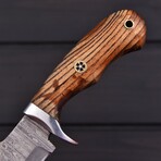 Damascus Hunting Knife // Burn Ash Wood // 7384
