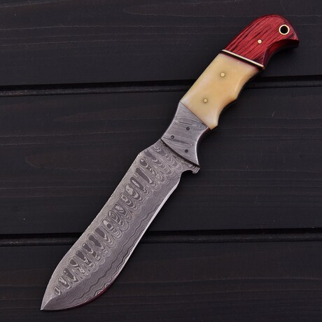 Damascus Hunting Knife //  Smooth Bone & Red/White Pakka Wood // 7392