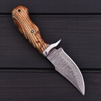 Damascus Hunting Knife // Burn Ash Wood // 7384