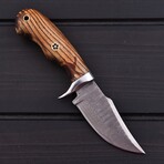 Damascus Hunting Knife // Burn Ash Wood // 7384