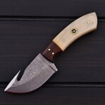Damascus Skinner Knife // Rose Wood With Smooth Bone // 7399