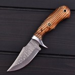 Damascus Hunting Knife // Burn Ash Wood // 7384