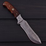 Damascus Hunting Knife // Rose Wood // 7397