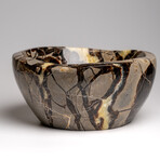 Genuine Polished Septarian Bowl from Madagascar // v.2