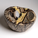 Genuine Polished Septarian Bowl from Madagascar // v.2