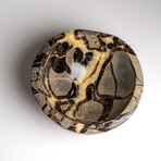 Genuine Polished Septarian Bowl from Madagascar // v.2