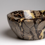 Genuine Polished Septarian Bowl from Madagascar // v.2