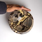 Genuine Polished Septarian Bowl from Madagascar // v.2