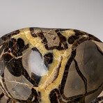 Genuine Polished Septarian Bowl from Madagascar // v.2