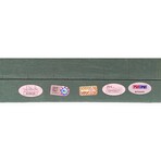 BOS Red Sox // Replica Monster Art Of Lester 5/19/08 No-Hitter // Signed by 7