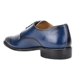 Thomas // Leather Brogues // Navy (US: 7)