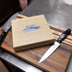 6" in Diamond Whetstone // Sharpening Set