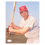 Cincinnati Reds // Bench + Rose Signed Photo + Griffey Sr. Signed Jersey