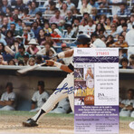 NY Yankees // Reggie Jackson & More Signed Photo + Nettles Signed Jersey