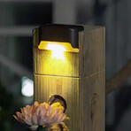 Everylight Solar Lights // Brown (6-Pack)