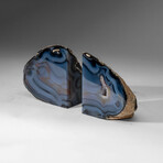 Genuine Polished Blue Banded Agate Bookends v.1