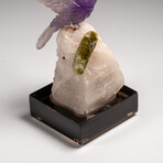 Genuine Polished Hand Carved Fluorite Hummingbird on a Green Tourmaline in Albite Matrix (4"H)
