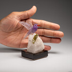 Genuine Polished Hand Carved Fluorite Hummingbird on a Green Tourmaline in Albite Matrix (4"H)
