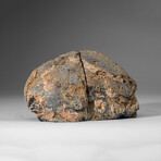 Genuine Polished Blue Banded Agate Bookends v.1