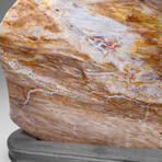 Genuine Natural Banded Agate Slice on Wooden Display from Brazil