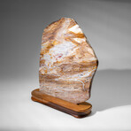 Genuine Natural Banded Agate Slice on Wooden Display from Brazil