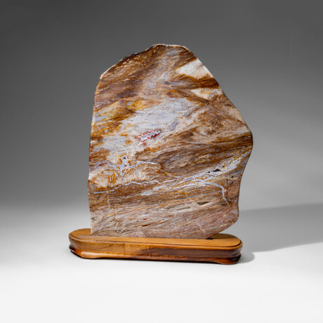 Genuine Natural Banded Agate Slice on Wooden Display from Brazil
