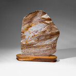 Genuine Natural Banded Agate Slice on Wooden Display from Brazil