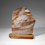 Genuine Natural Banded Agate Slice on Wooden Display from Brazil