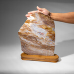 Genuine Natural Banded Agate Slice on Wooden Display from Brazil
