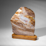 Genuine Natural Banded Agate Slice on Wooden Display from Brazil