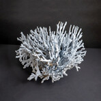 Genuine Blue Ridge Coral