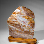 Genuine Natural Banded Agate Slice on Wooden Display from Brazil