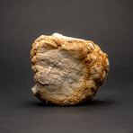Genuine Calcite Geode From Morocco