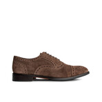 Ford Qtr Suede Brogue // Honey Brown (US: 9)