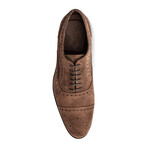 Ford Qtr Suede Brogue // Honey Brown (US: 9)