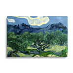 Olive Trees with the Alpilles in the Background by Vincent van Gogh (18"H x 26"W x 1.5"D)
