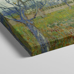 The Pink Orchard by Vincent van Gogh (18"H x 26"W x 1.5"D)