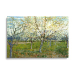 The Pink Orchard by Vincent van Gogh (18"H x 26"W x 1.5"D)