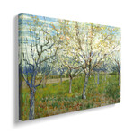 The Pink Orchard by Vincent van Gogh (18"H x 26"W x 1.5"D)