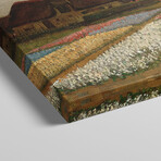 Tulpenfelder (Tulip Fields) by Vincent van Gogh (18"H x 26"W x 1.5"D)