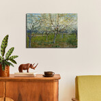 The Pink Orchard by Vincent van Gogh (18"H x 26"W x 1.5"D)
