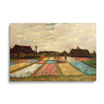 Tulpenfelder (Tulip Fields) by Vincent van Gogh (18"H x 26"W x 1.5"D)