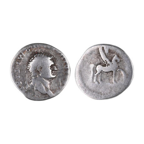 Roman Coin with Pegasus // Emperor Domitian, 76-77 AD