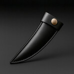 The Spectra // Fixed Blade // Push Dagger