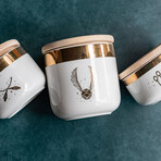 Harry Potter Quidditch // 3-Piece Ceramic Storage Jar Containers