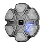 Boxer: Your Smart Boxing Wall Trainer