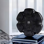 Boxer: Your Smart Boxing Wall Trainer