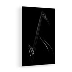 Le Contrebassiste Print on Acrylic by Strugala Didier (16"H x 24"W x 0.25"D)